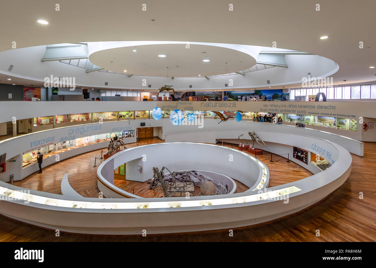 Musée des Sciences Naturelles (Museo Provincial de Ciencias Naturales) intérieur - Cordoba, Argentine Banque D'Images