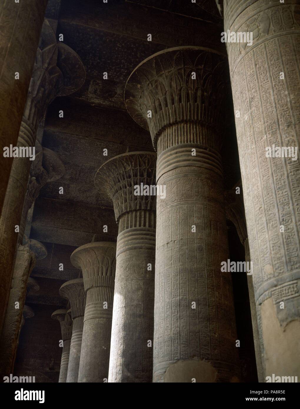 COLUMNAS DE LA SALA HIPOSTILA. Emplacement : TEMPLO, ESNA, ÉGYPTE. Banque D'Images