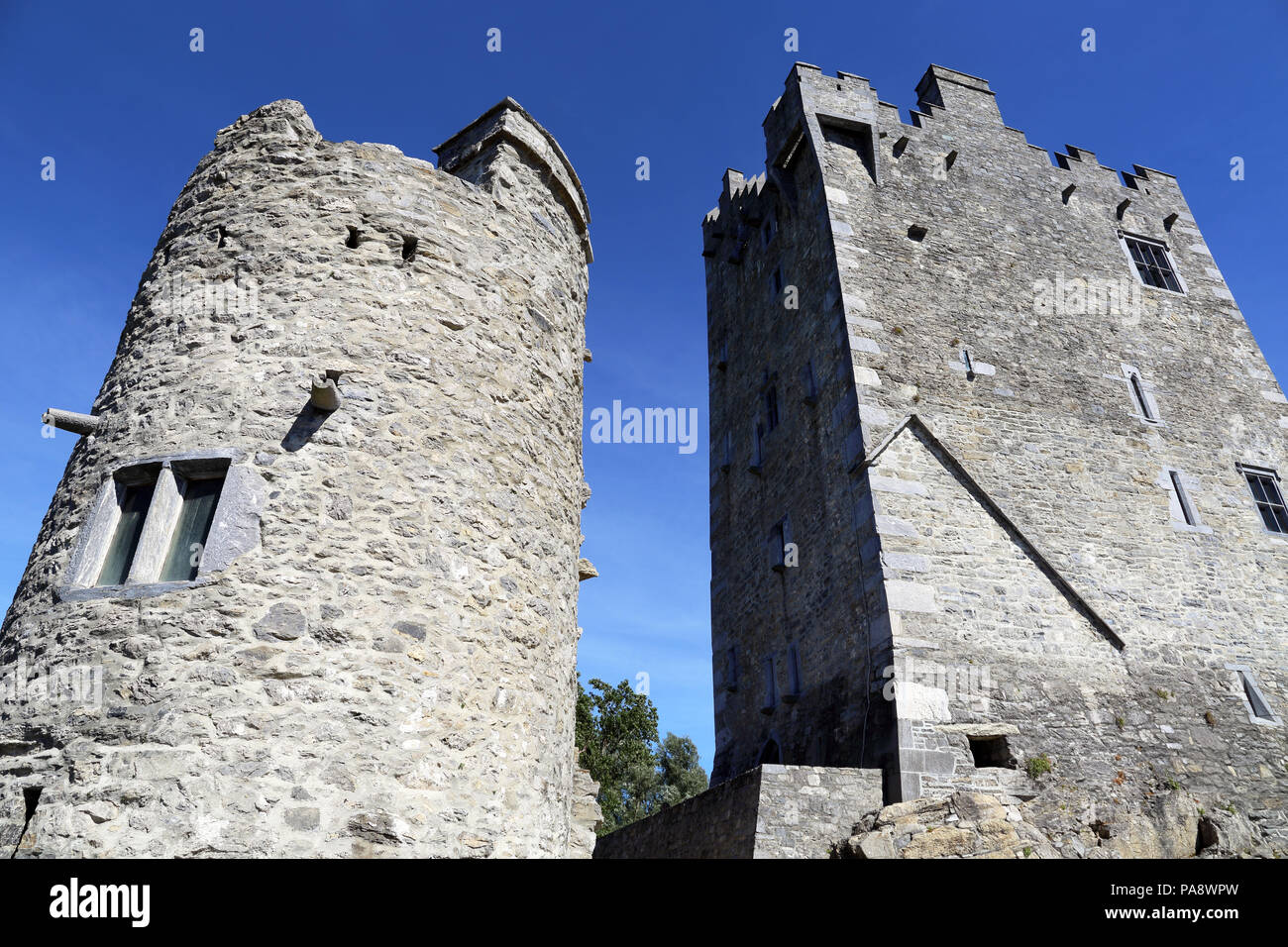 Le Château de Ross est une tour du Xvème siècle maison et garder sur le bord de Lough Leane, dans le Parc National de Killarney, comté de Kerry, Irlande. Banque D'Images