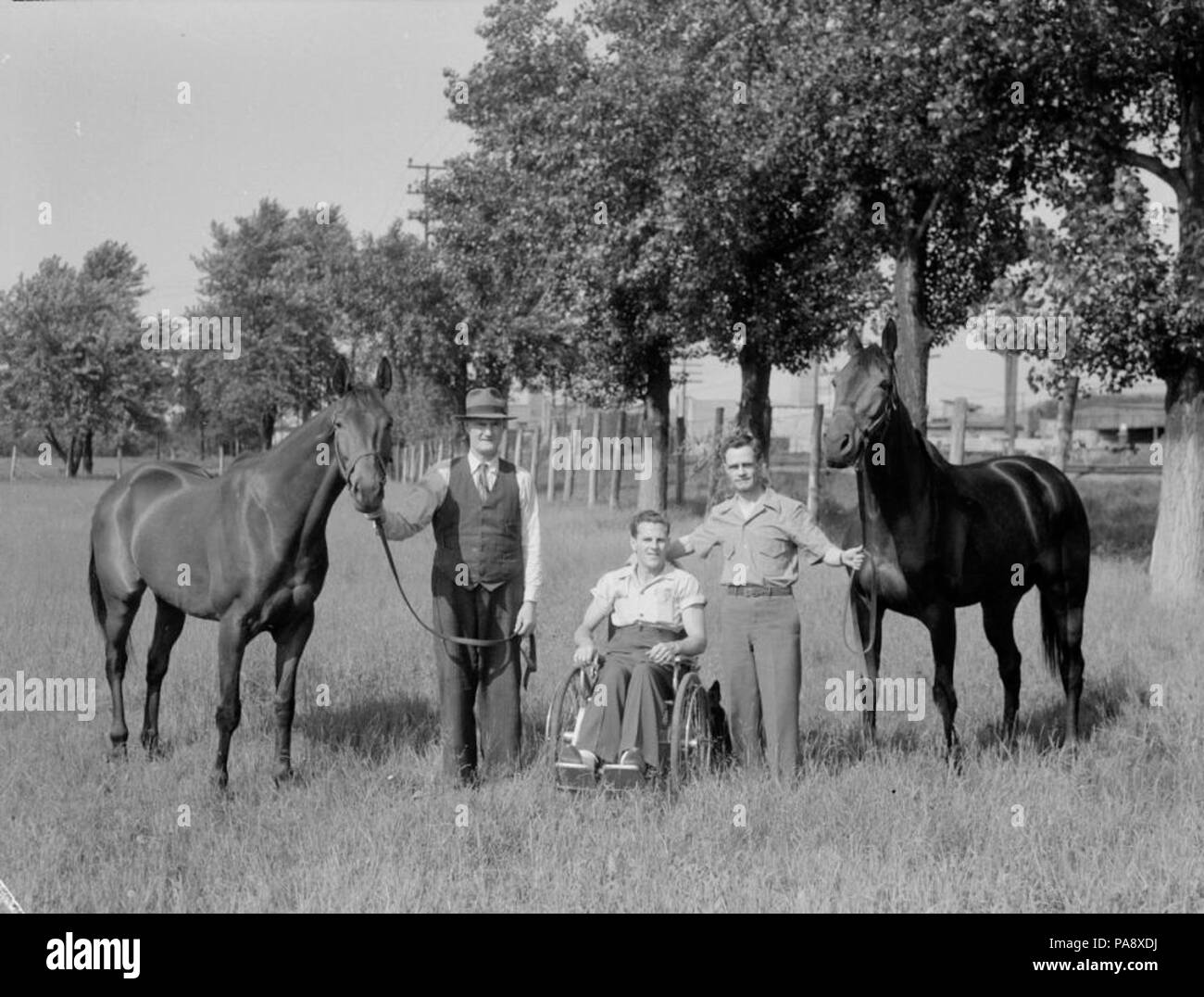 115 chevaux. Jimmy Darou avec St Locheil et Cuvanna BAnQ Vieux-Montréal P48S1P08015 Banque D'Images