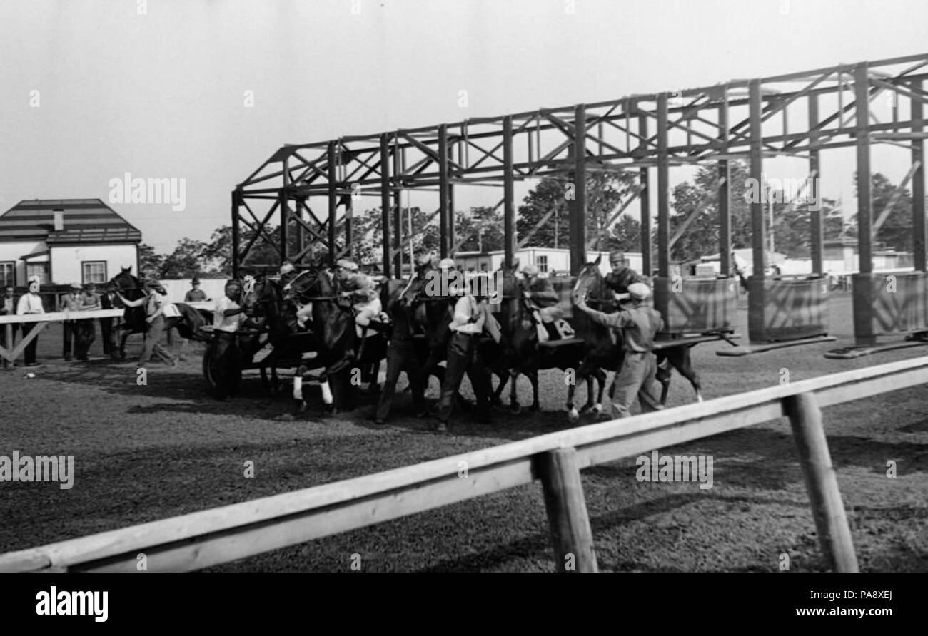 115 chevaux. Ils ne sont pas. 2ème course à Kings Park BAnQ P48S1P05509 Banque D'Images