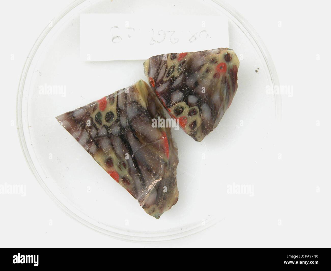 Des fragments de verre à partir d'un navire. Culture : le copte. Dimensions : Stockage (petri diam.) : 1 13/16 in. (4,6 cm). Date : 4ème au début du 5e siècle. Musée : Metropolitan Museum of Art, New York, USA. Banque D'Images