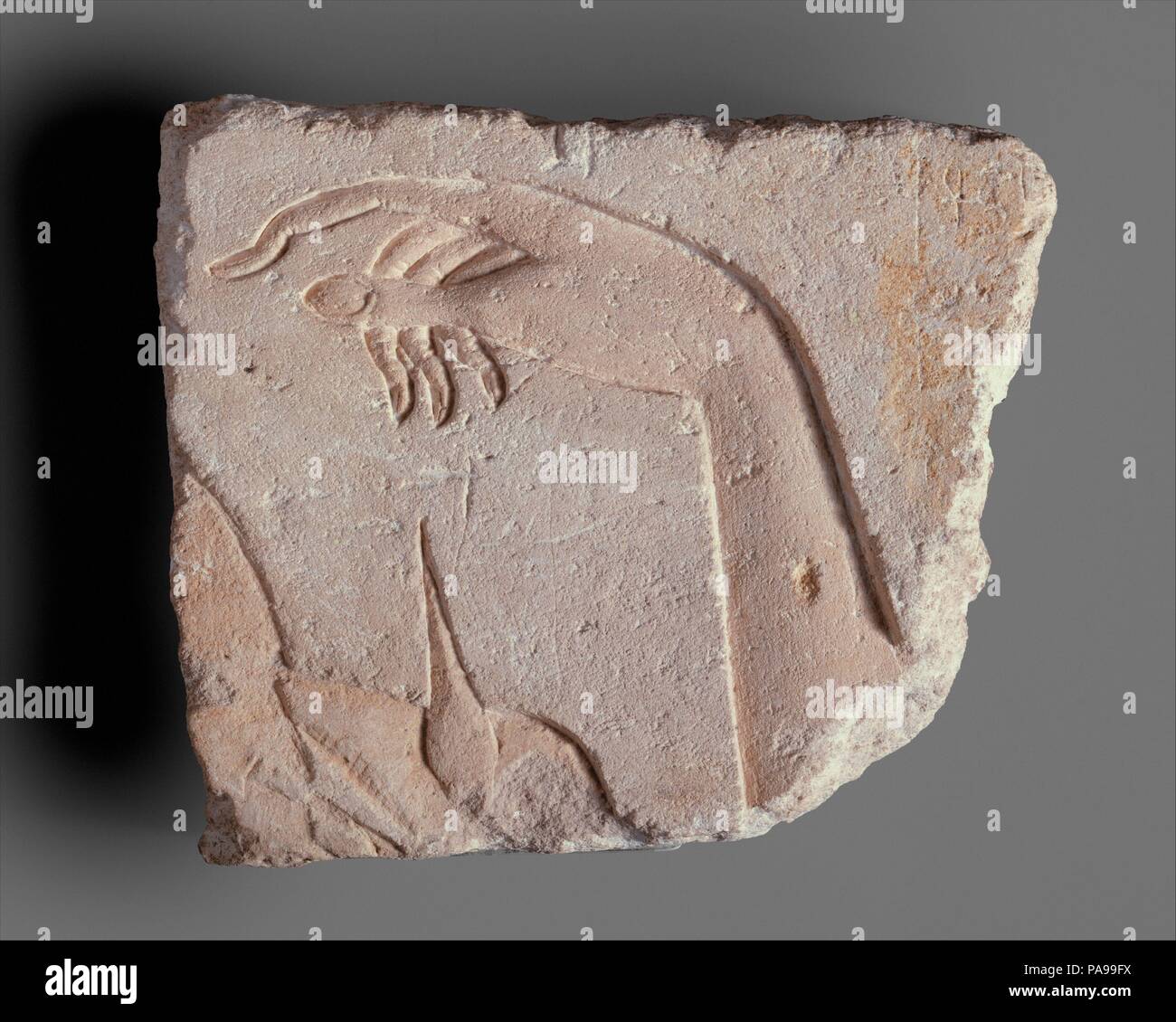 Main royale. Dimensions : h. 23,5 cm (9 1/4 po) ; w. 27,5 cm (10 au 13/16) ; d. 3,6 cm (1 7/16 po). Dynastie DYNASTIE : 18. Règne : règne d'Akhenaton. Date : ca. 1353-1336 av. J.-C.. Amarna est le nom que de pelles ont donné à la place du roi Akhenaton residence en moyenne Égypte, Akhetaton (l'horizon du dieu Aton). Début du règne d'Akhénaton (ca. 1353 avant J.-C.), y compris les années où le pharaon a résidé à Amarna (ca. 1349-1336 avant J.-C.), a été marquée par une véritable révolution dans la religion de l'Égypte ancienne et de l'art, le roi du culte de l'un seul Dieu, le dieu solaire Aton. Ses artistes, liber Banque D'Images