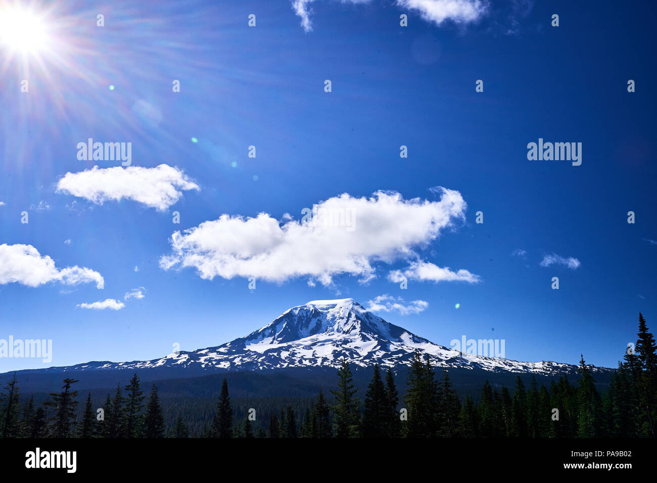 Mont Adams au soleil Banque D'Images