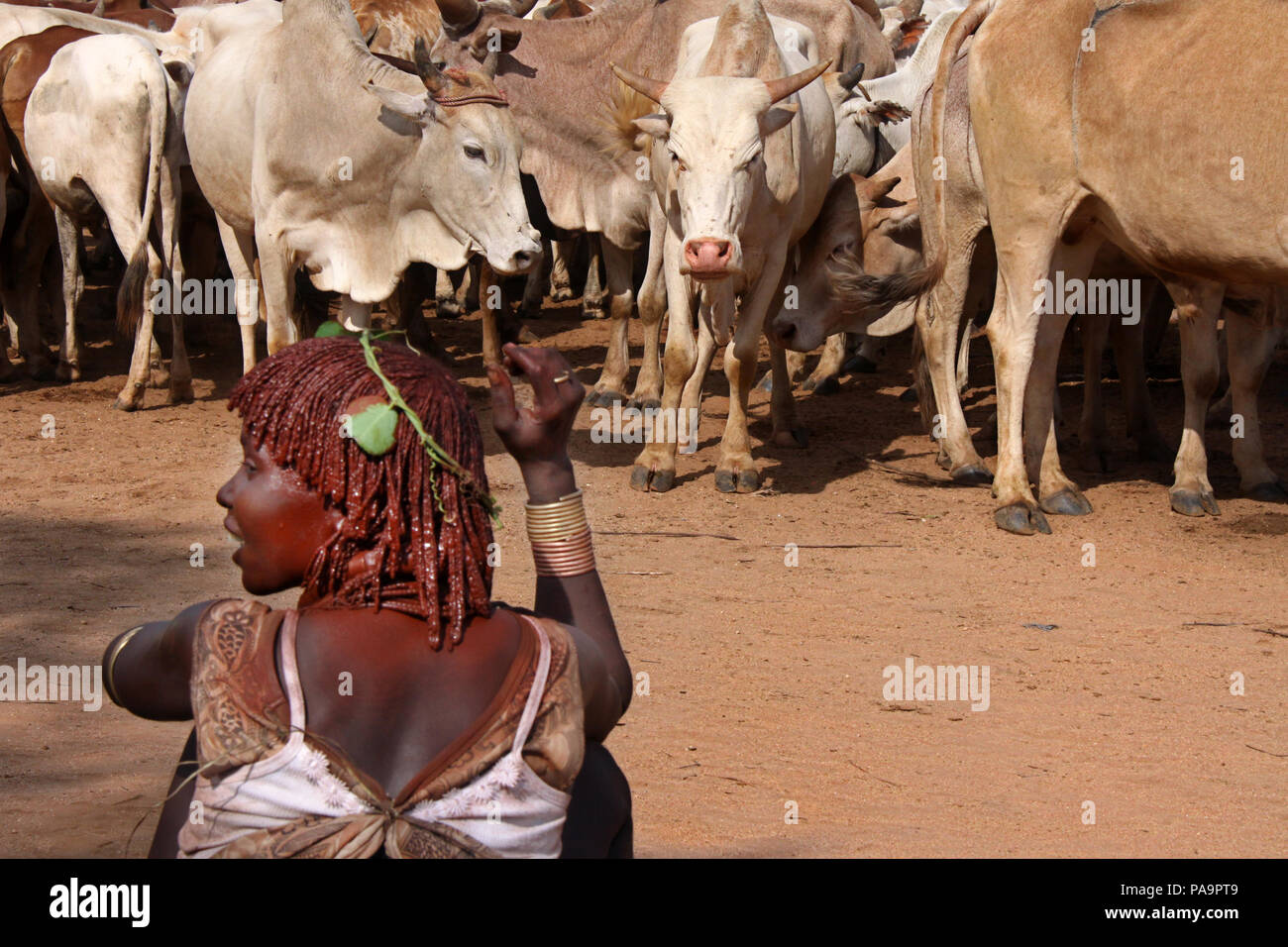 Hamer femmes pendant le saut de Bull (cérémonie rituelle Ukuli) par Hamer Hamar, Éthiopie tribu Banque D'Images