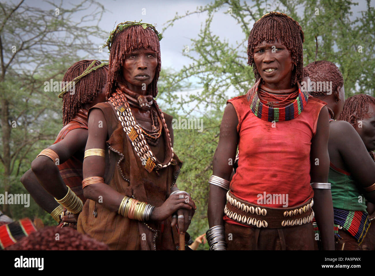 Hamer femmes pendant le saut de Bull (cérémonie rituelle Ukuli) par Hamer Hamar, Éthiopie tribu Banque D'Images