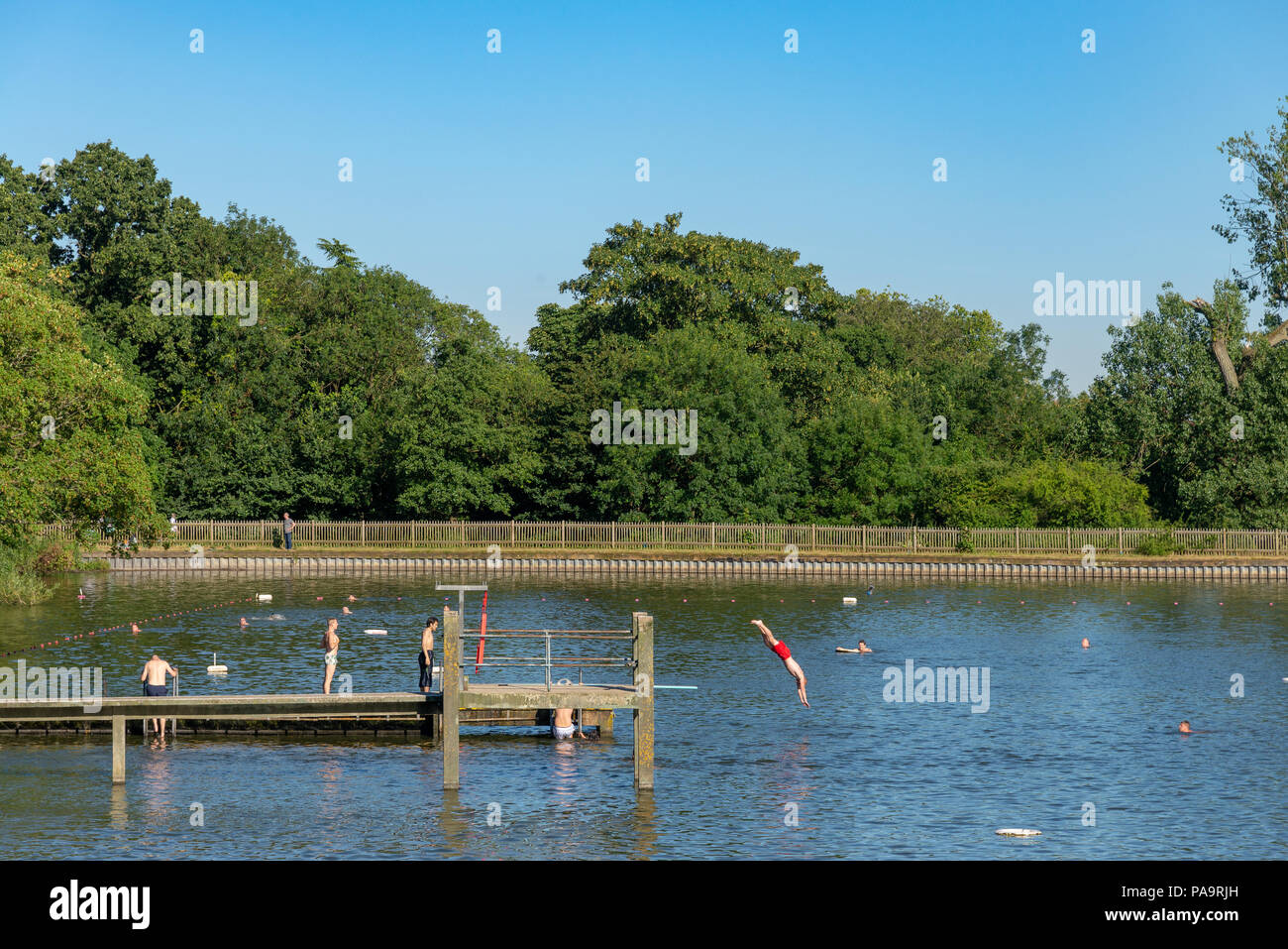 Hampstead Heath men's Pond, London, UK Banque D'Images