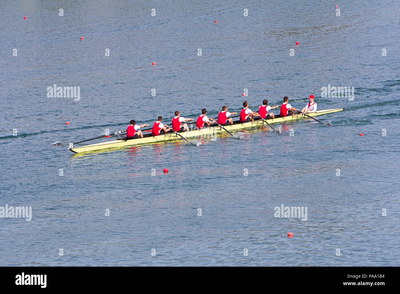 Huit rameurs aviron barques sur le lac tranquille Banque D'Images