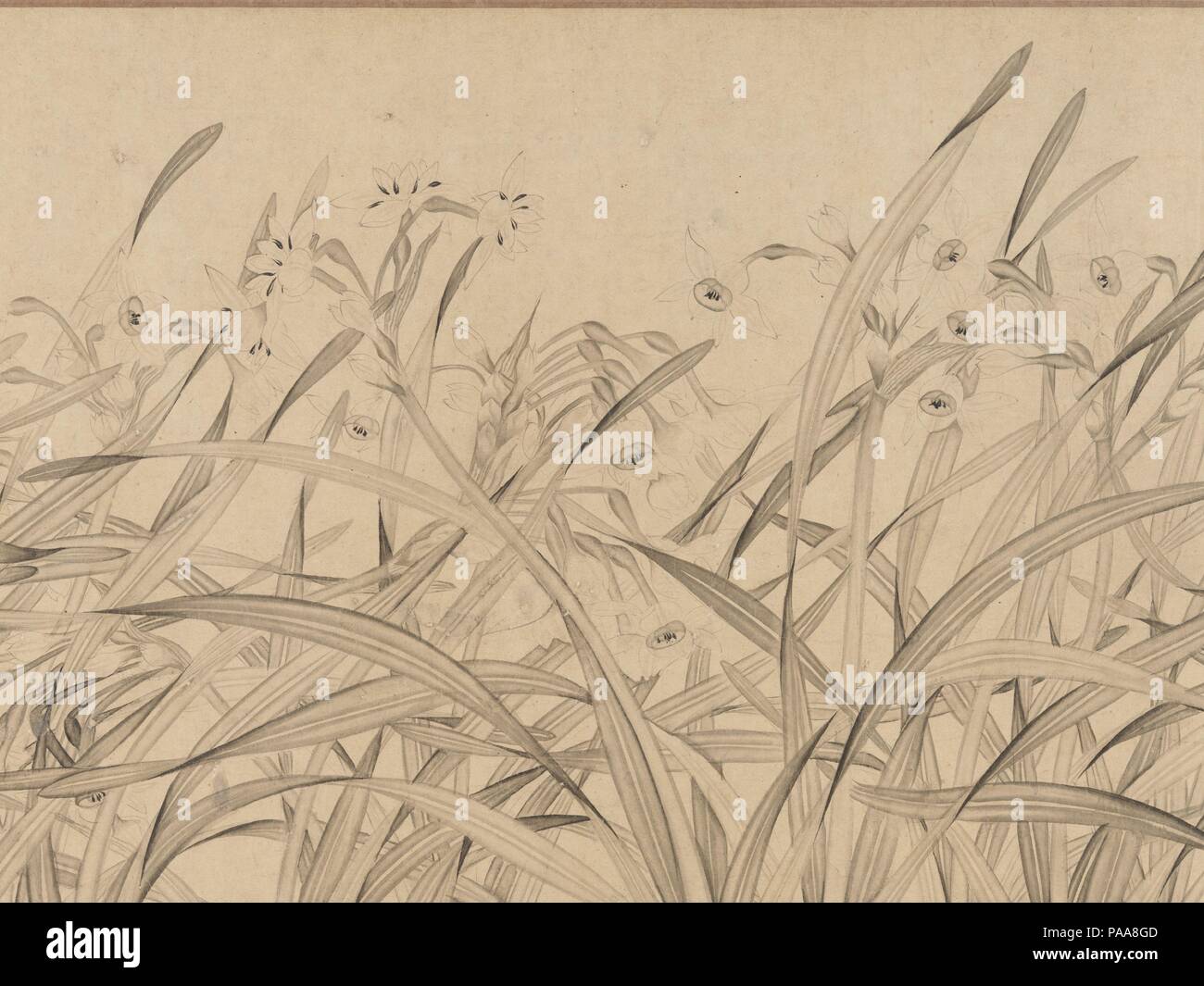 Narcisse. Artiste : Zhao Mengjian (chinois, 1199-avant 1267). Culture : la  Chine. Dimensions : Image : 13 1/16 in. × 12 ft. 3 1/4 in. (33,2 × 374 cm)  avec fixation :