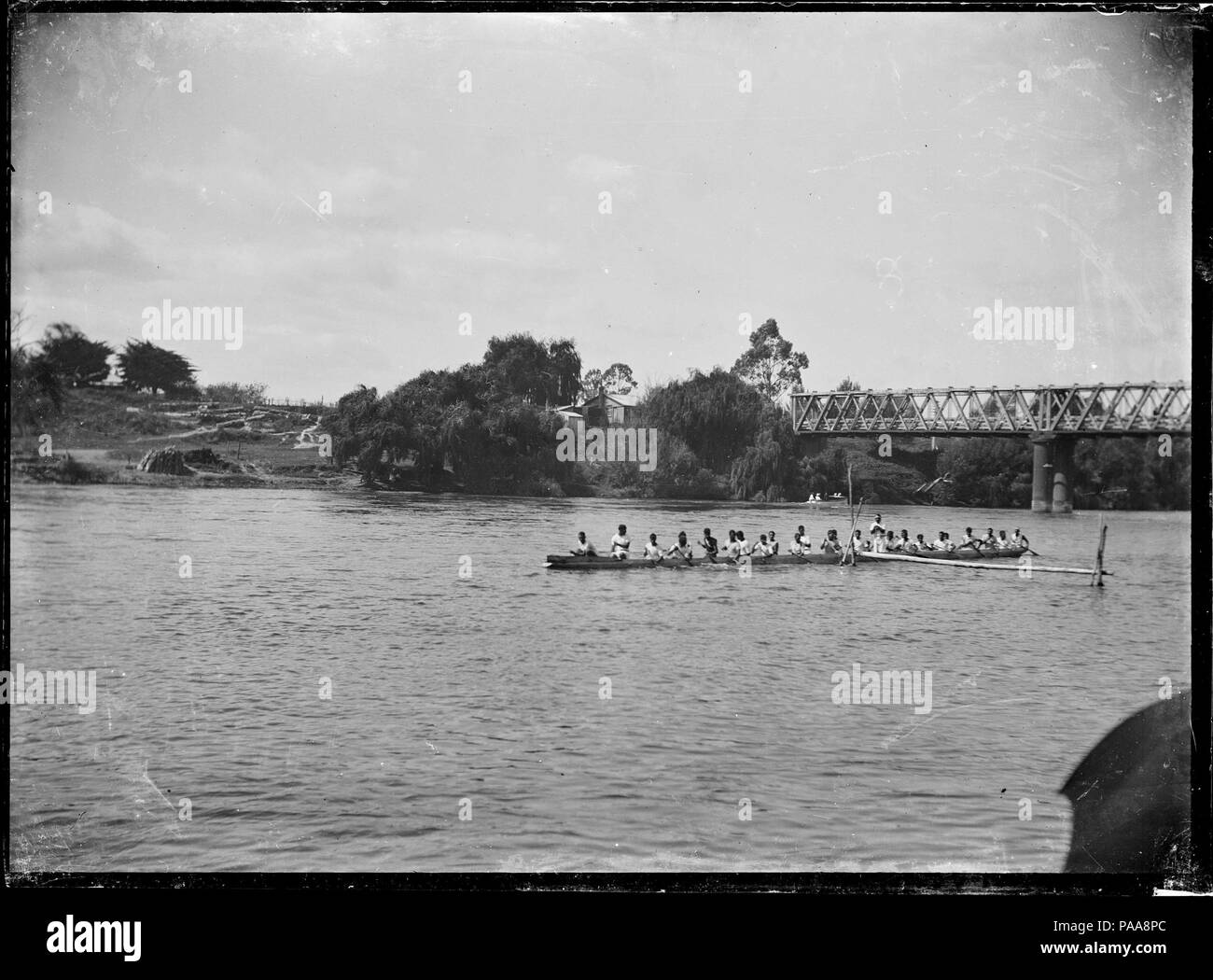 166 waka Maori sur la rivière Waikato lors de la Régate de Ngaruawahia. 287515 ATLIB Banque D'Images