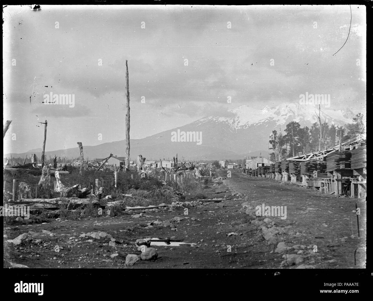 174 Canton de fraisage Horopito, près de Ohakune, 1921 312030 ATLIB Banque D'Images