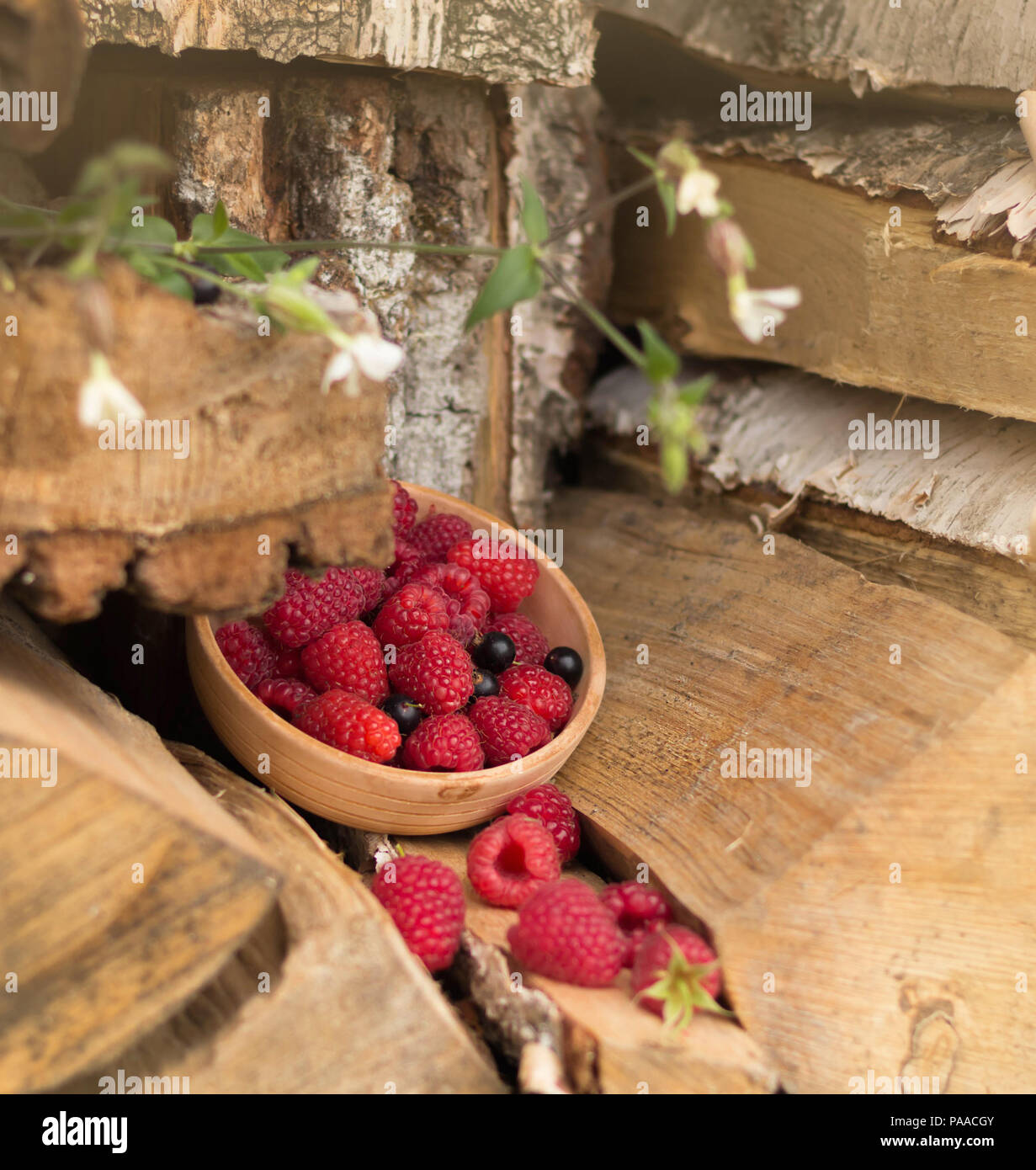 Framboises dans une petite cuvette d'argile se trouvent parmi les journaux. série d'hôtel - images - photos Banque D'Images