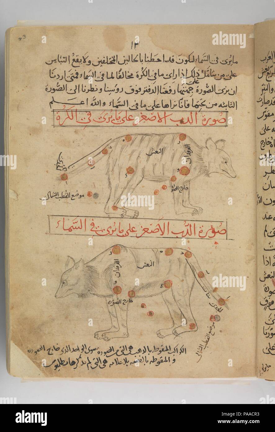 Kitab al-kawakib suwar al-thabita (livre des images des étoiles fixes) d'al-Sufi. Auteur : 'Abd al-Rahman al-Sufi (iranienne, Rey 903-986 Shiraz). Dimensions : H. 10 3/16 po. (25,8 cm) W. 7 1/8 in. (18,1 cm). Date : fin du xve siècle. Cet ouvrage, fondé sur l'Almageste de l'astronome grec Ptolémée, concerne la quarante-huit constellations connu comme les étoiles fixes, qui, selon la conception médiévale de l'univers habité, le huitième des neuf sphères entourant la terre. Les constellations apparaissent chacun deux fois en image miroir, illustré comme observé à partir de la terre et du ciel. Mu Banque D'Images