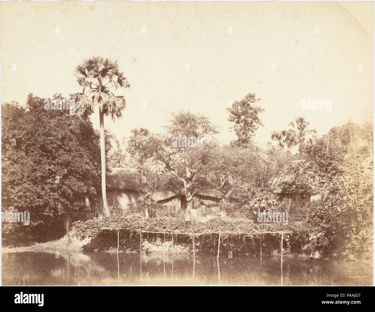 [Vue de la Jungle, le Bengale]. Artiste : le capitaine R. B. Hill. Dimensions : Image : 19,1 x 25 cm (7 1/2 x 9 13/16 in.). Date : 1850. Musée : Metropolitan Museum of Art, New York, USA. Banque D'Images