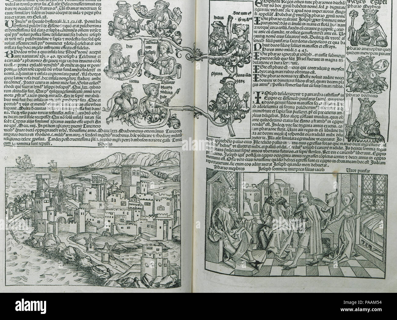 216 Rhodis (2) - Schedell Hartmann - 1493 Banque D'Images