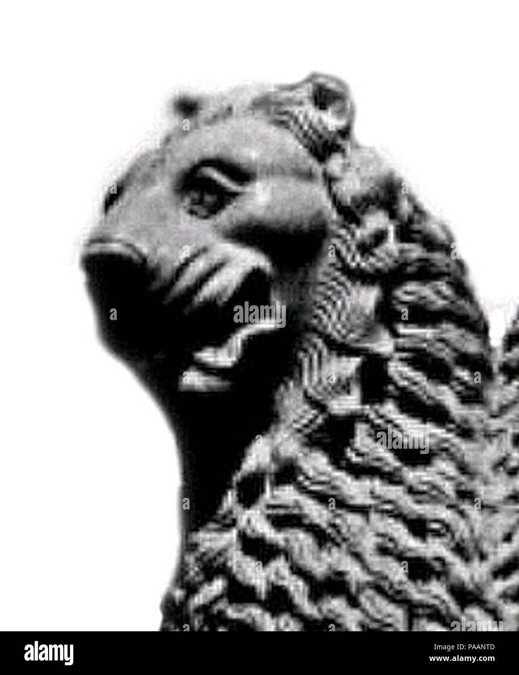 228 l'amélioration de la netteté avec lions de Sarnath Banque D'Images