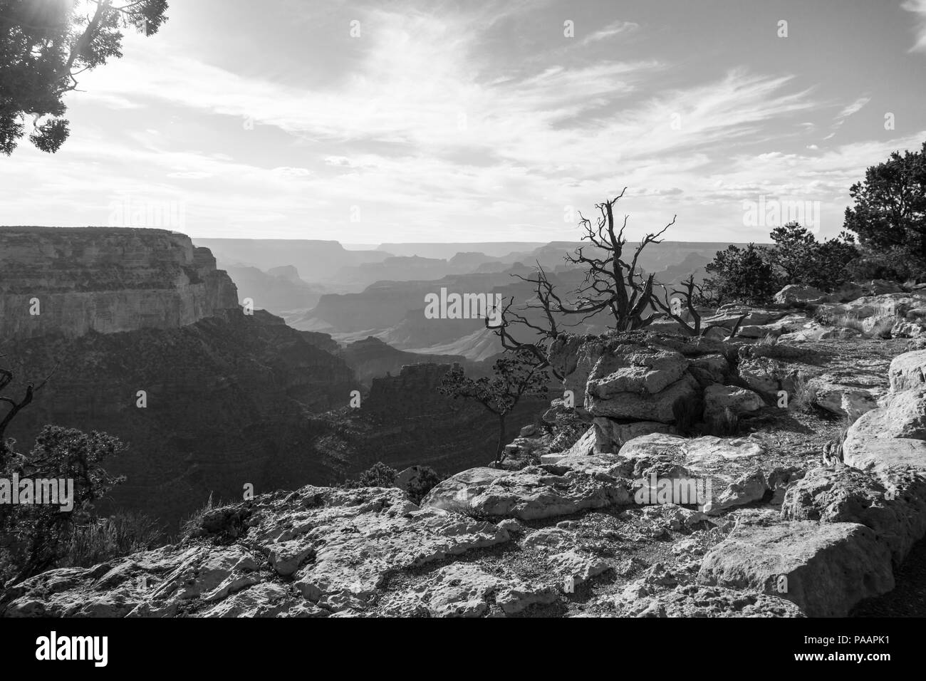 500px Photo ID : 163228039 - Banque D'Images