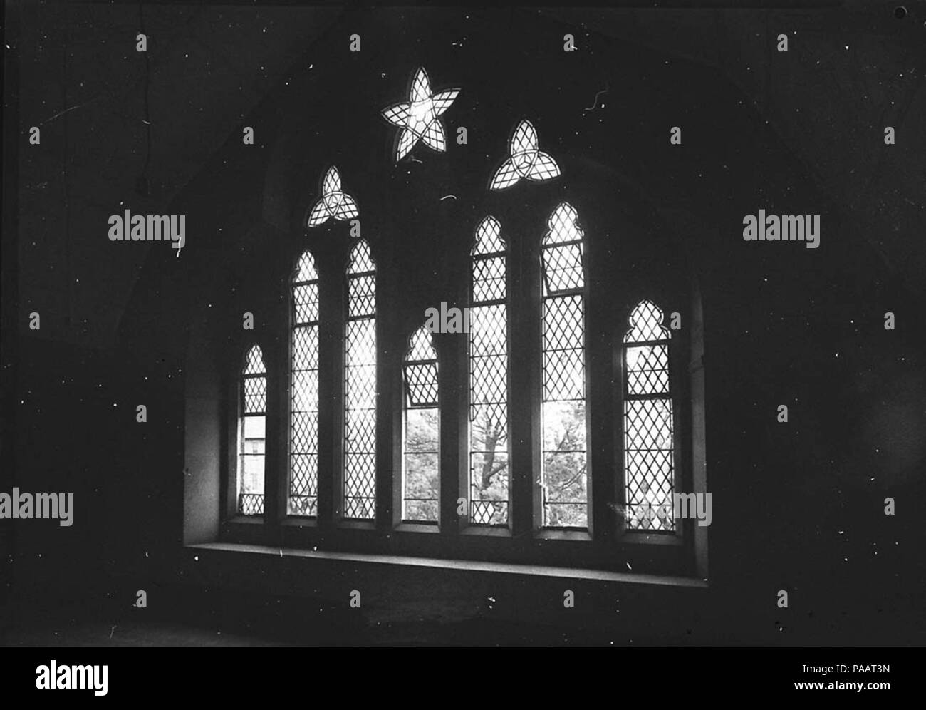 239 13499 SLNSW vitraux Banque D'Images