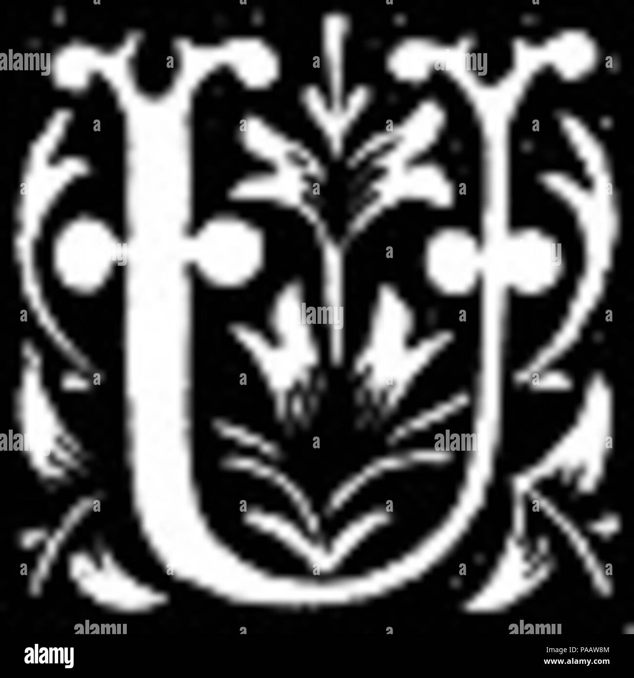 Lettrine Lettre U 592 Banque D'Images