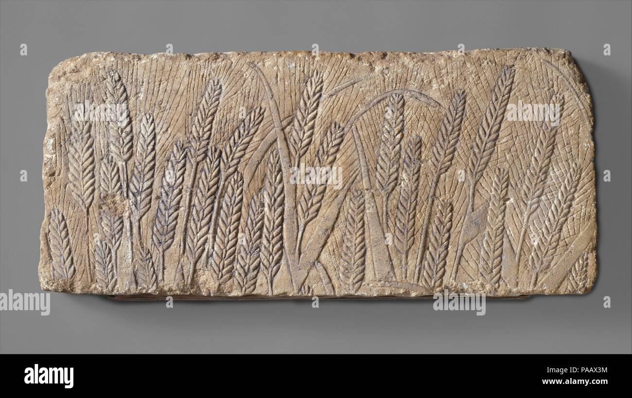 Venu de l'orge. Dimensions : H. 23 cm (9 1/16 po) ; W. 52 cm (20 1/2 po) ; e. d'environ 4 cm.. Dynastie DYNASTIE : 18. Règne : règne d'Akhenaton. Date : ca. 1353-1336 av. J.-C.. Début dans l'Ancien Empire, la récolte de céréales est un motif typique de tombes privées. Bien que le pharaon temple scènes montrant les tiges de coupe rituellement de grain, habituellement tenu par un prêtre, sont connus d'autres périodes, les champs de la plante vivante sont inconnus dans l'architecture de temple royal ou sauf durant la période Amarnienne, lorsque la présentation d'animaux sauvages et de plantes vivantes étaient communs dans les palais et les temples. Ce fragment gi Banque D'Images