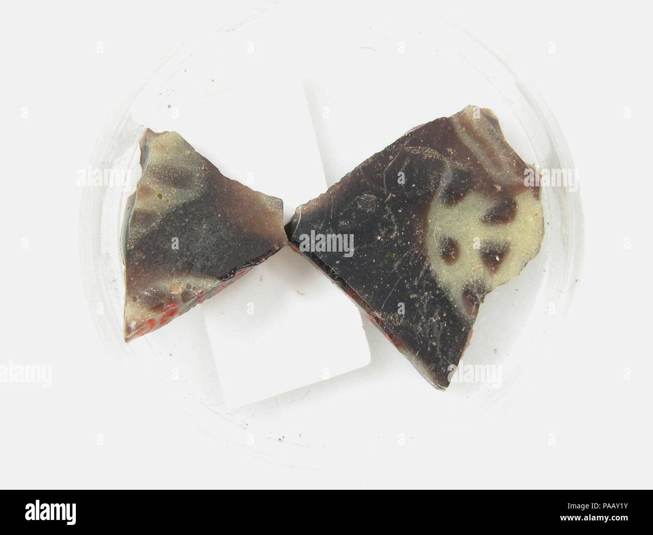 Des fragments de verre à partir d'un navire. Culture : le copte. Dimensions : Stockage (petri diam.) : 1 3/8 in. (3,5 cm). Date : 4ème au début du 5e siècle. Musée : Metropolitan Museum of Art, New York, USA. Banque D'Images