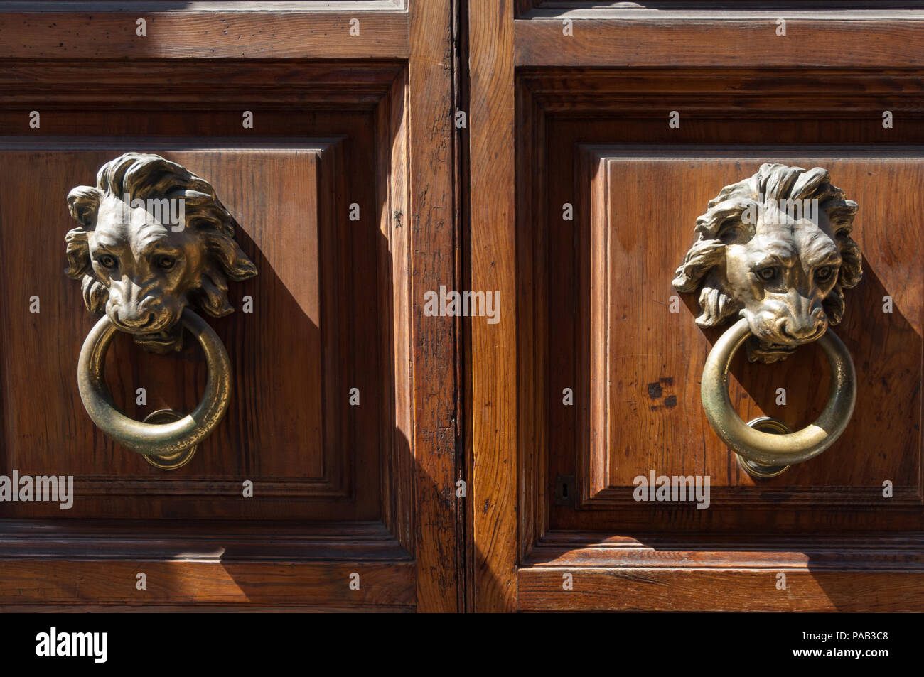 Tête de Lion en bronze heurtoirs de porte sur une porte en bois à Rome Banque D'Images