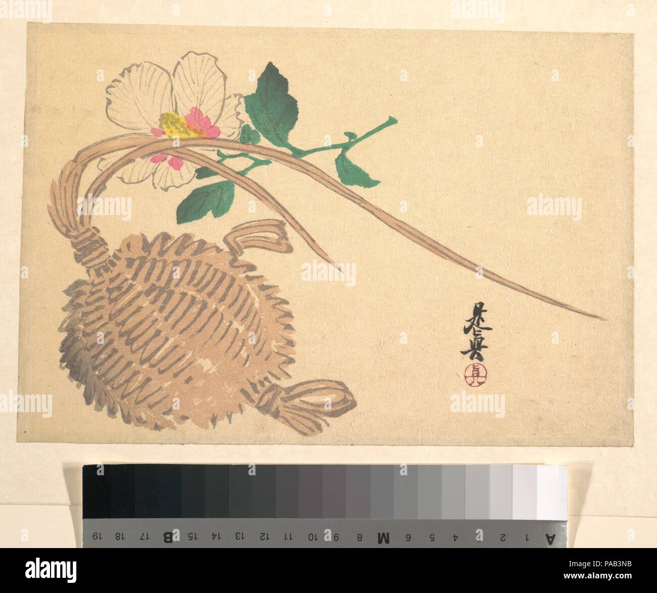 Panier de paille pour les poissons ( ?) et Mokuge fleur. Artiste : Shibata Zeshin (japonais, 1807-1891). Culture : le Japon. Dimensions : 6 7/8 x 10 1/8 in. (17,5 x 25,7 cm). Date : ca. 1875. Musée : Metropolitan Museum of Art, New York, USA. Banque D'Images