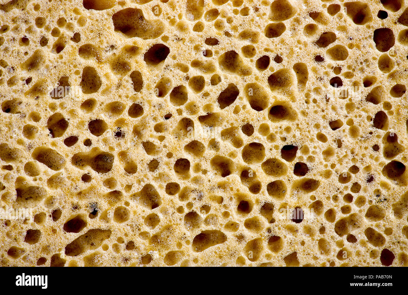 Sponge texture Banque de photographies et d’images à haute résolution