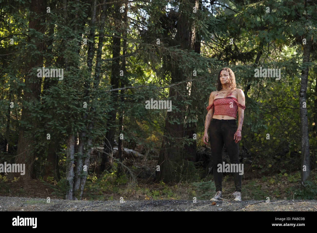 DATE DE SORTIE : Titre : Avril 20, 2018 Studio : Global Road Entertainment Réalisateur : Deon Taylor RÉSUMÉ : un couple pour un week-end romantique dans les montagnes sont abordées par un gang de motards. Seul dans les montagnes, Brea et John doit se défendre contre la bande, qui ne reculera devant rien pour protéger leurs secrets. Avec : PAULA PATTON comme Brea. (Crédit Image : © Global Road Entertainment/photos) Banque D'Images