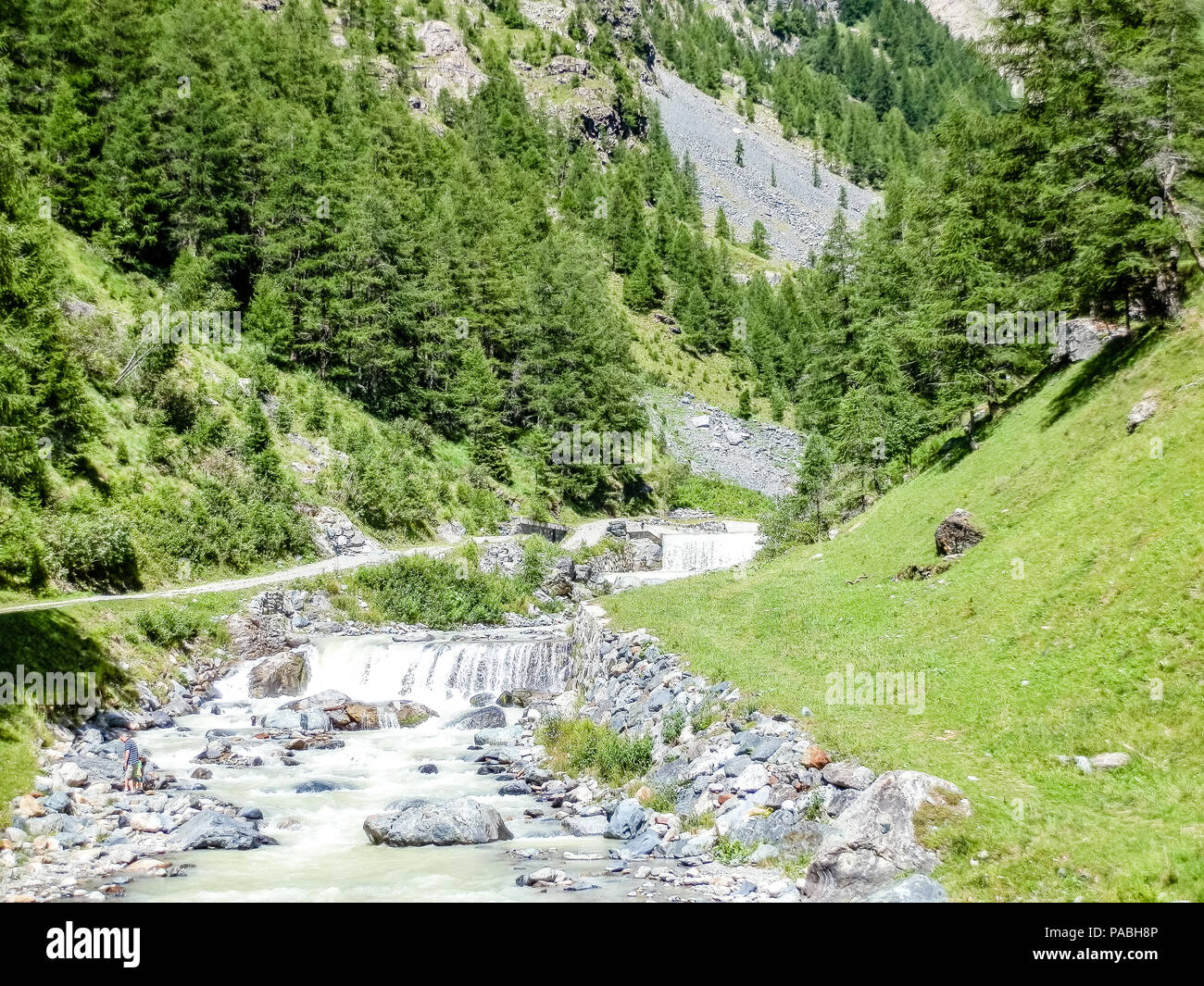Belle vue sur les forêts, des fleurs, des lacs et des rivières de la vallée alpine de Gressoney, situé dans la vallée d'aoste, Italie du nord Banque D'Images