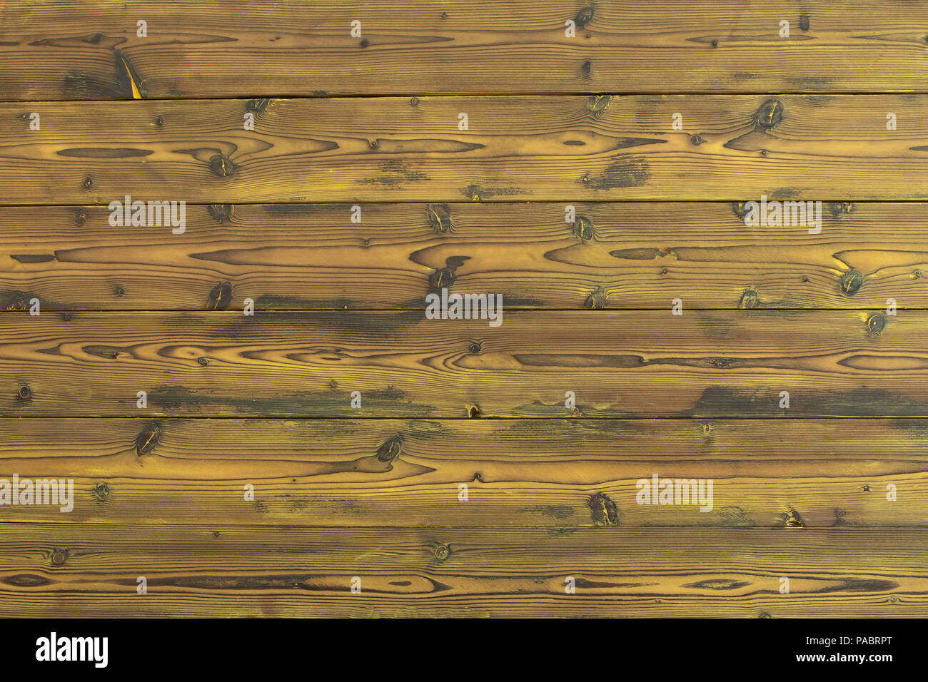 La texture du bois de fond de teint jaune en pin avec noeuds et wood grain pattern dans un full frame view with copy space Banque D'Images