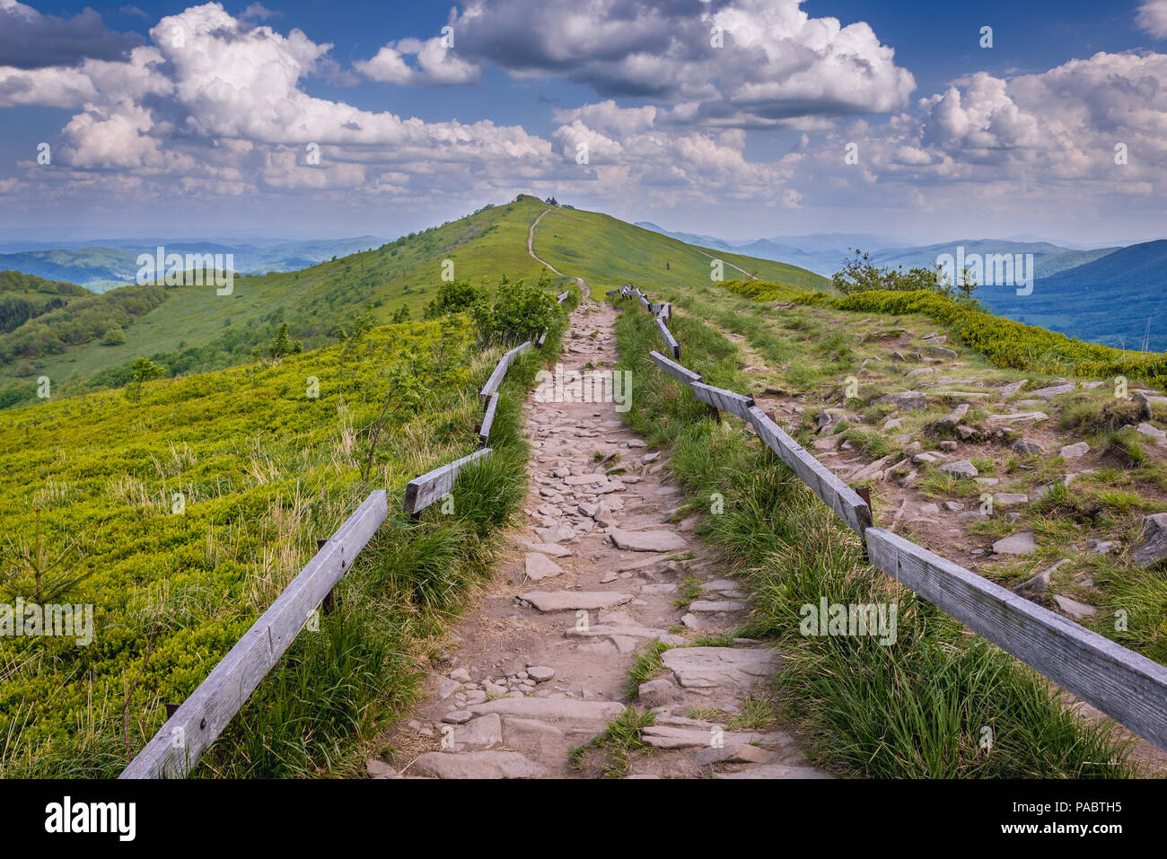 Chemin de Winnie l'ourson sur un Hasiakowa refuge Refuge Rock mountain, partie de Wetlina Meadows dans l'ouest de Bieszczady en Pologne Banque D'Images