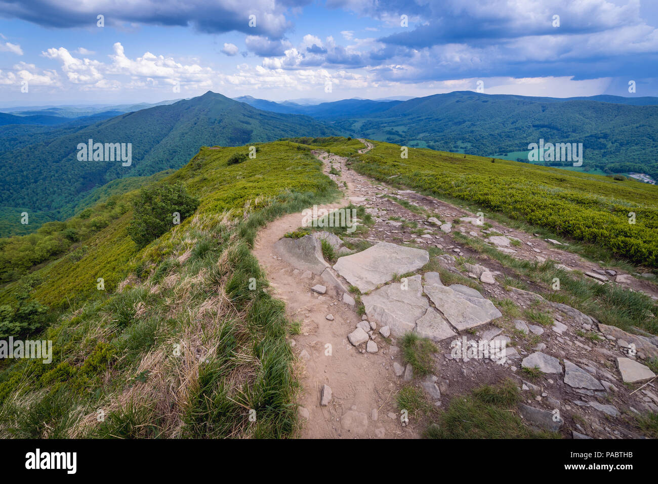 Chemin près de Winnie l'ourson sur un Hasiakowa refuge Refuge Rock mountain, partie de Wetlina Meadows dans l'ouest de Bieszczady en Pologne Banque D'Images