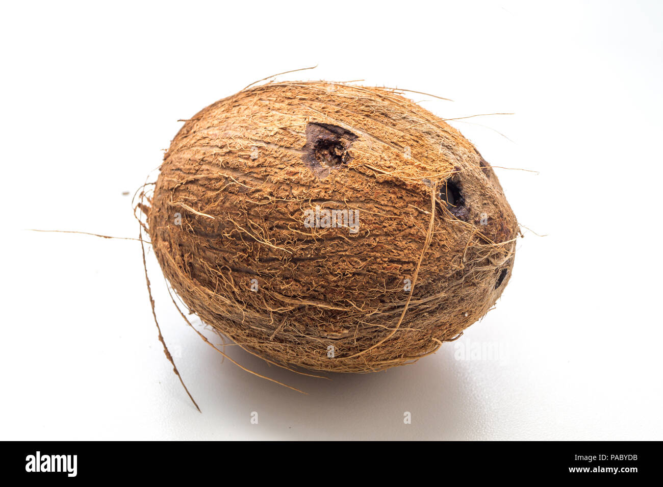 Coconut isolé sur fond blanc Banque D'Images