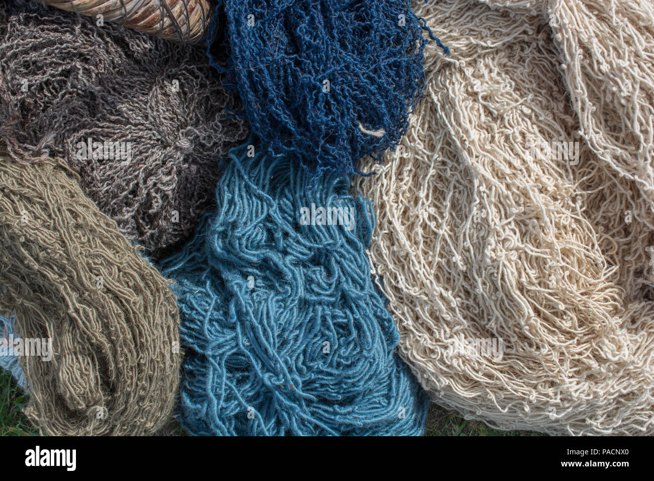 La teinture de laine naturelle dans une fabrique de tapis, Népal Photo  Stock - Alamy