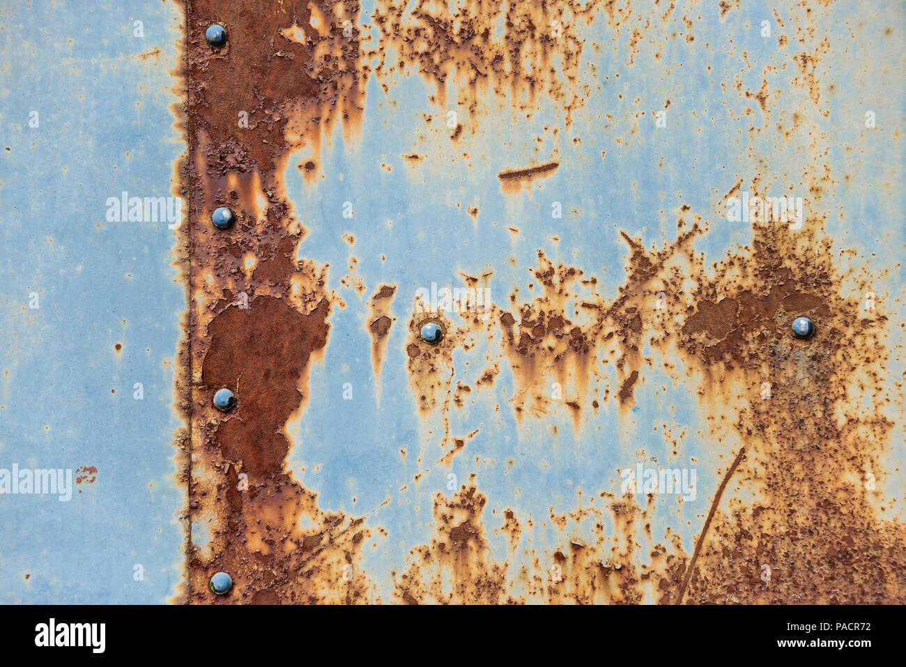 Grunge texture : rusty metal surface recouverte d'écaille de peinture bleue et la fissuration de la texture, avec coutures et rivets Banque D'Images