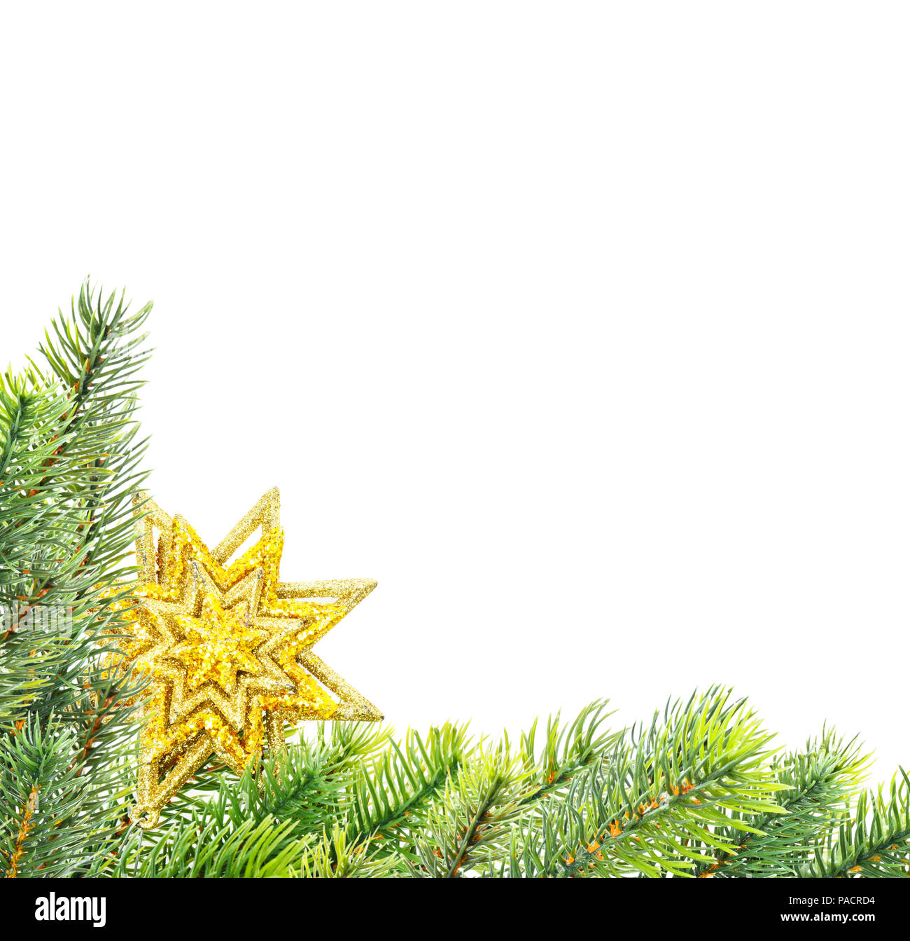 Composition de Noël vert avec des branches de sapin et golden star isolé sur un fond blanc, avec un espace réservé au texte Banque D'Images