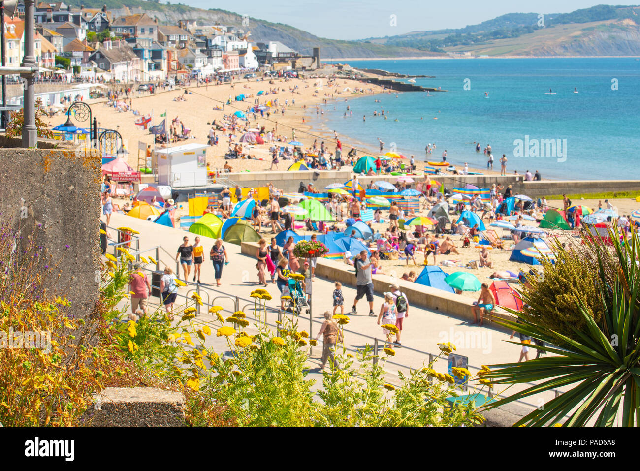 Lyme Regis, dans le Dorset, UK. 22 juillet 2018. Météo France : brulante du soleil et ciel bleu à Lyme Regis. Des foules de vacanciers et sunseekers affluent vers la plage de la station balnéaire de Lyme Regis sur le premier week-end des vacances scolaires. Credit : Celia McMahon/Alamy Live News Banque D'Images