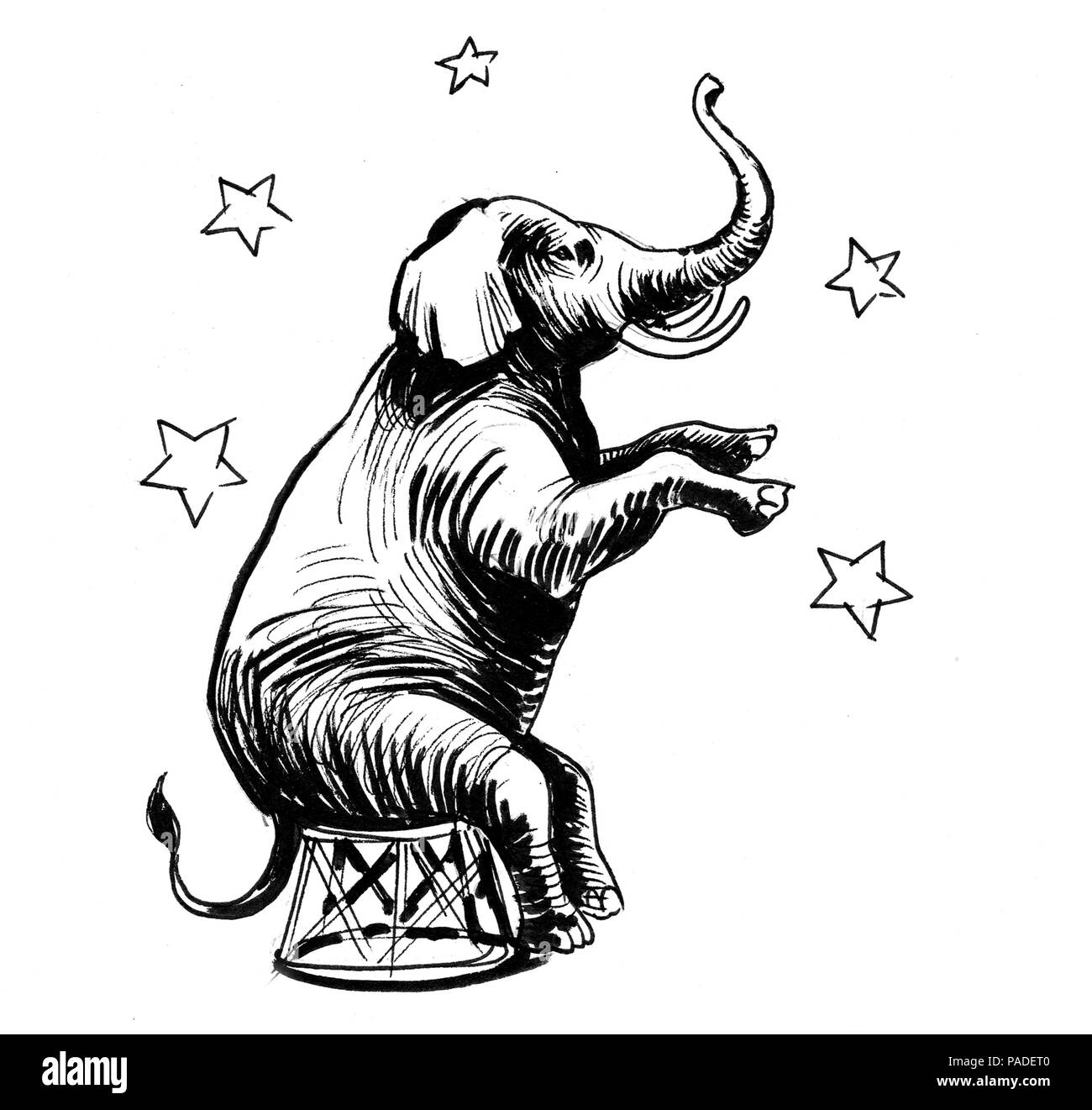 La Scene De L Elephant Dans Le Cirque Illustration Noir Et Blanc Encre Photo Stock Alamy