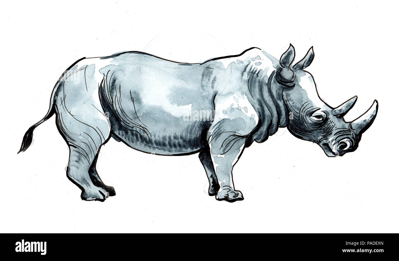 Rhinocéros africain. Encre et aquarelle illustration Banque D'Images