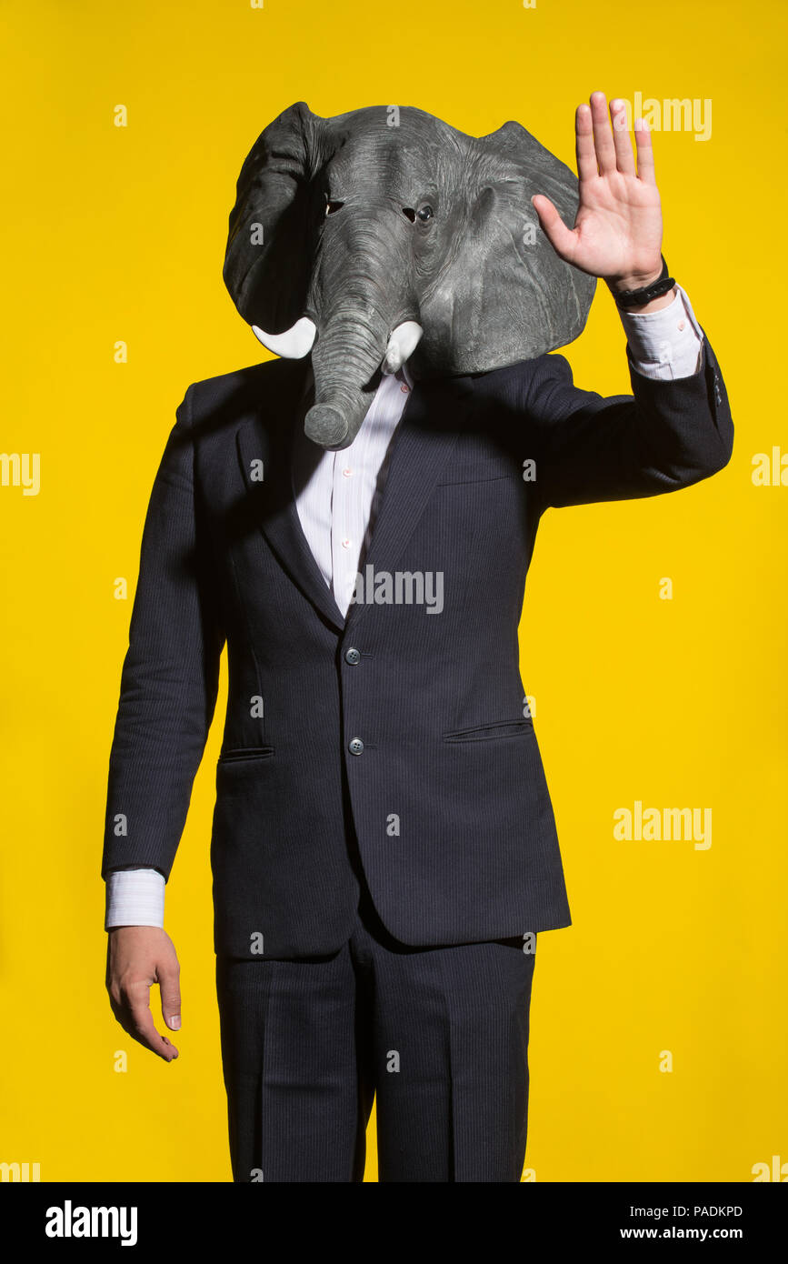 Elephant Mask Banque du0027image et photos - Alamy