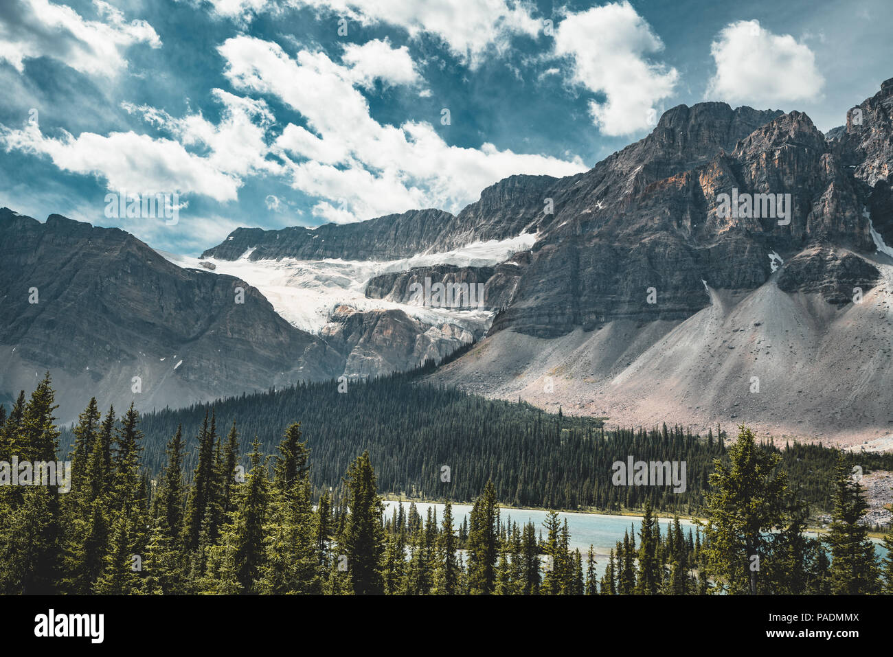 Panorama sur la montagne au lac Hector, Banff National Park Banque D'Images