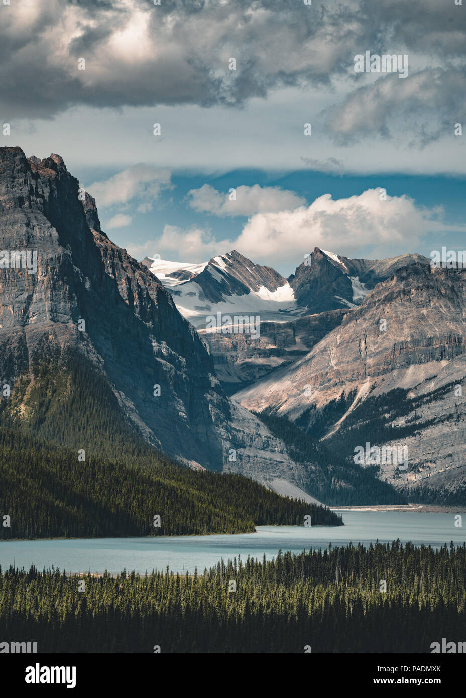 Panorama sur la montagne au lac Hector, Banff National Park Banque D'Images