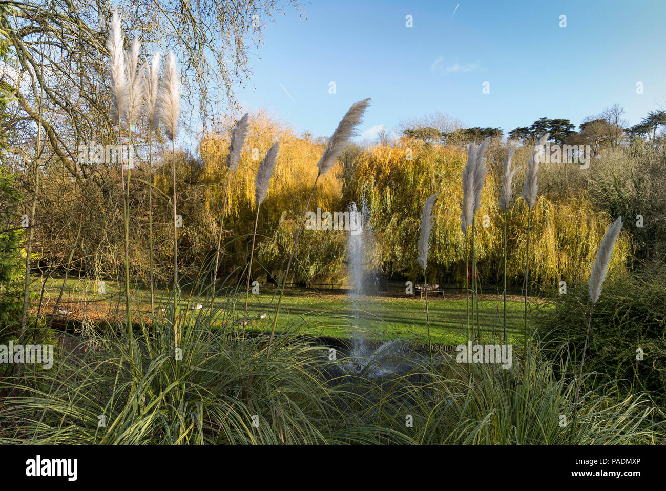 Raymill 'île', Maidenhead, Berkshire, UK, vue générale, ciel bleu, un jour ensoleillé de l'Île 'Raymill', Grande-Bretagne, © Peter SPURRIER, Banque D'Images