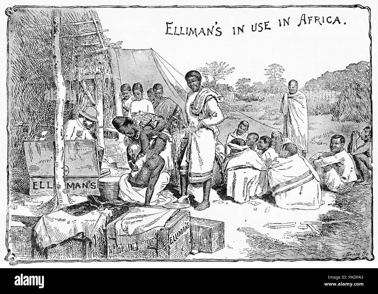 Gravure d'une publicité pour l'onguent, être Elliman utilisé pour traiter les patients en Afrique, 1903. Banque D'Images