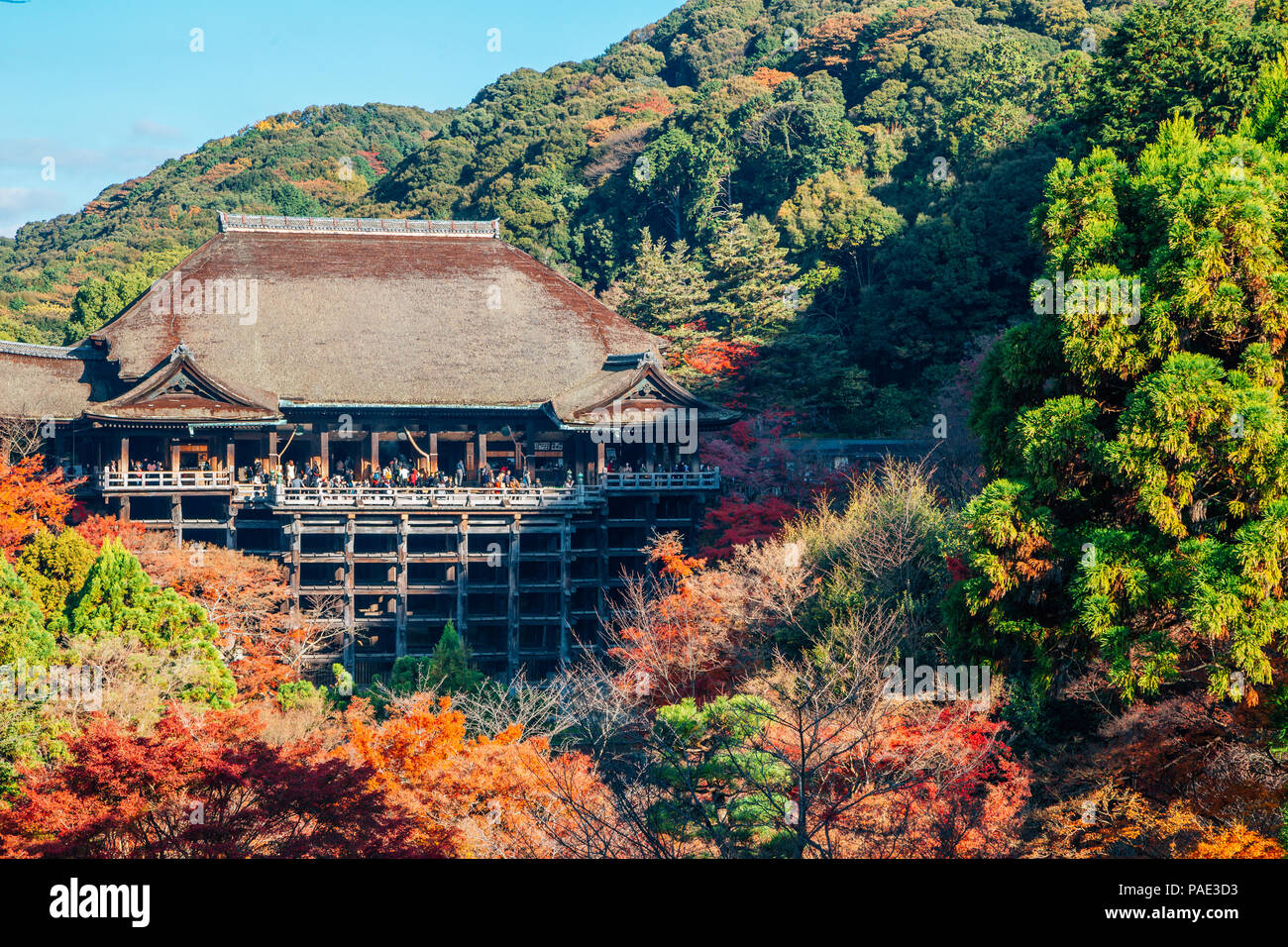 Le temple Kiyomizu-dera avec automne érable à Kyoto, Japon Banque D'Images