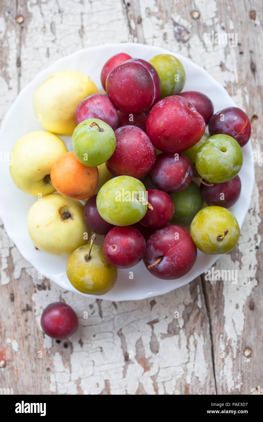 Les abricots, les pommes, mirabelle, prune verte (ume) et les prunes. Les fruits d'été sur l'assiette. Banque D'Images