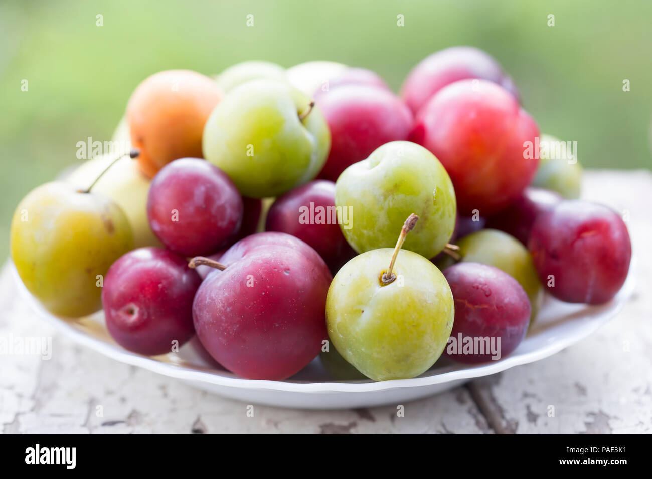 Les abricots, les pommes, mirabelle, prune verte (ume) et les prunes. Les fruits d'été sur l'assiette. Banque D'Images