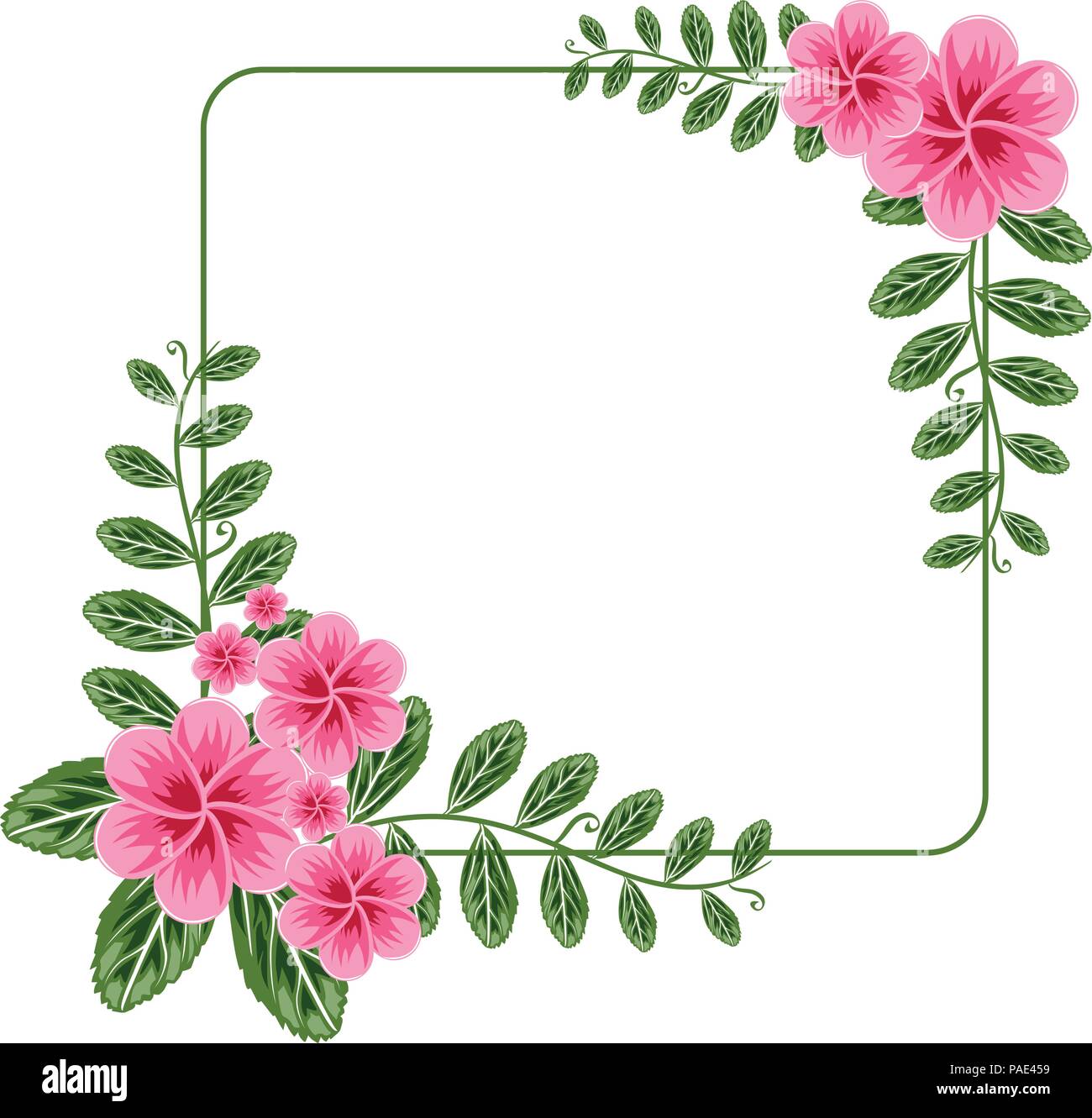 Belle fleur floral floral Frame Télévision Illustration Illustration de Vecteur