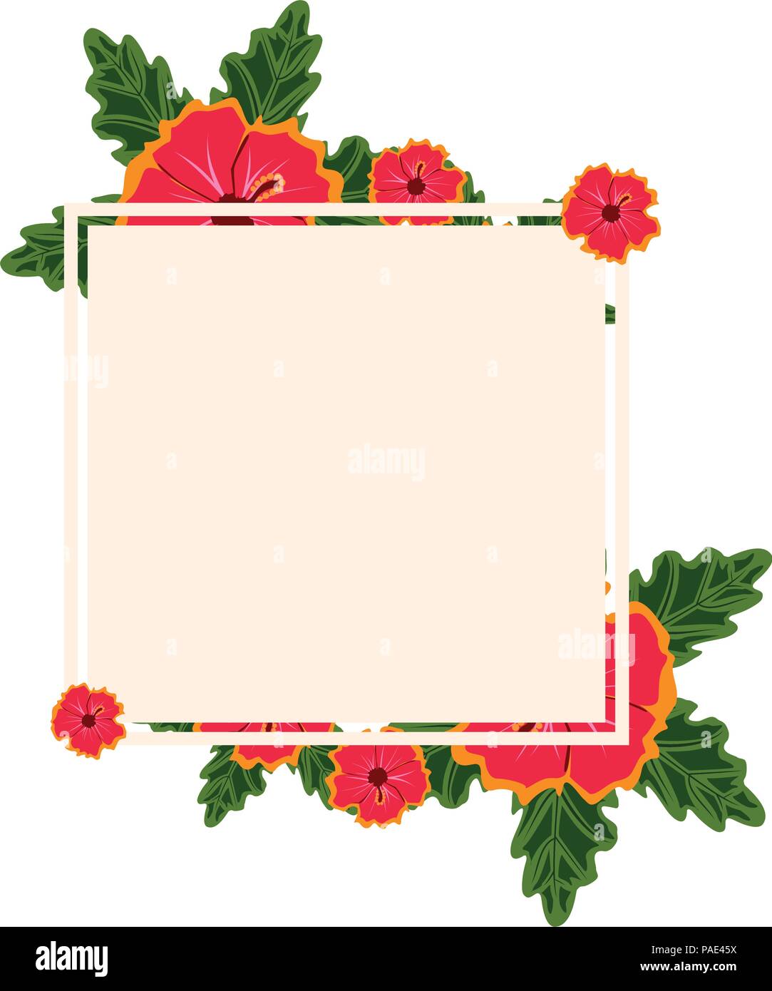 Belle fleur floral floral Frame Télévision Illustration Illustration de Vecteur